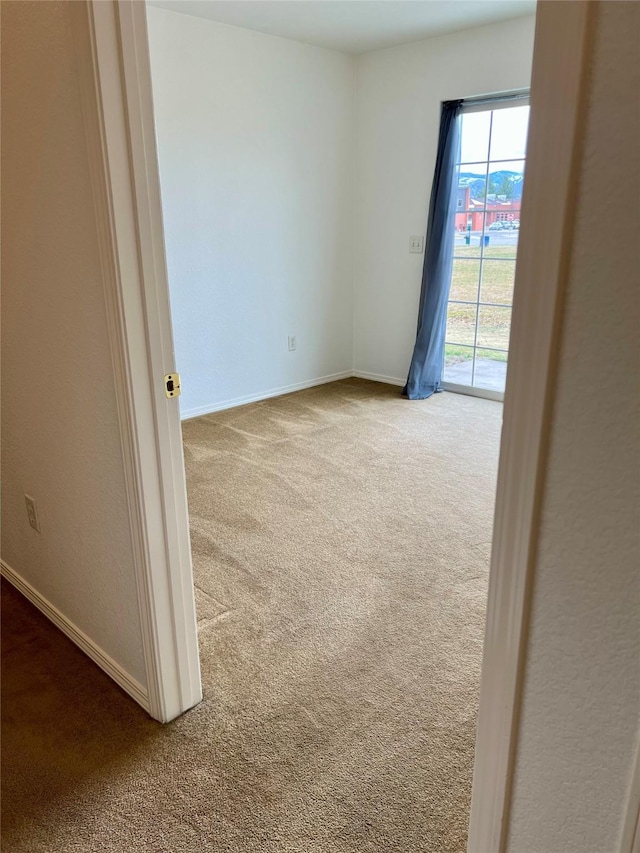 spare room with baseboards and carpet