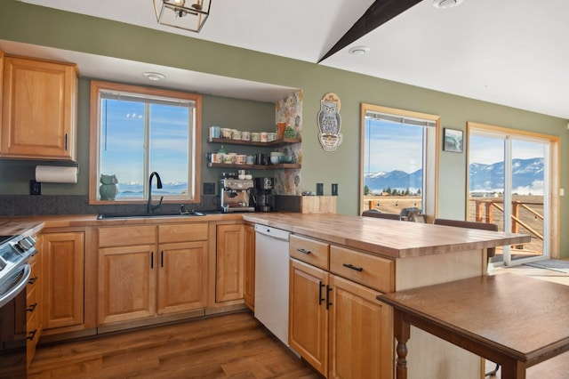 18 Mission View Dr, Polson, MT 59860 - kitchen with dishwasher, a sink, wooden counters, range with electric cooktop, and plenty of natural light
