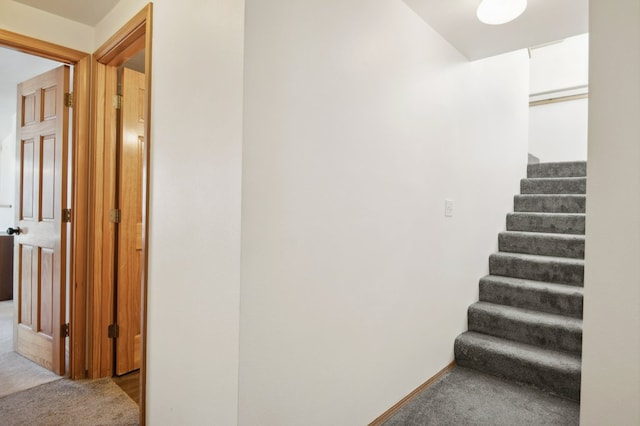 18 Mission View Dr, Polson, MT 59860 - stairs featuring carpet flooring