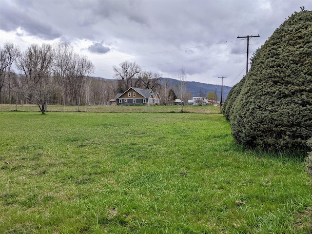 1003 4th Ave, Plains, MT 59859 - view of yard with a mountain view