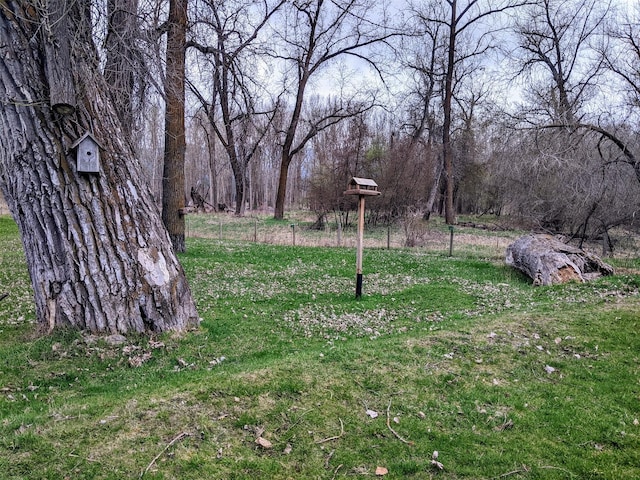 1003 4th Ave, Plains, MT 59859 - view of yard
