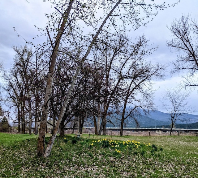 1003 4th Ave, Plains, MT 59859 - view of yard with a mountain view