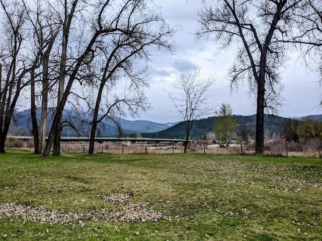 1003 4th Ave, Plains, MT 59859 - view of yard with a mountain view