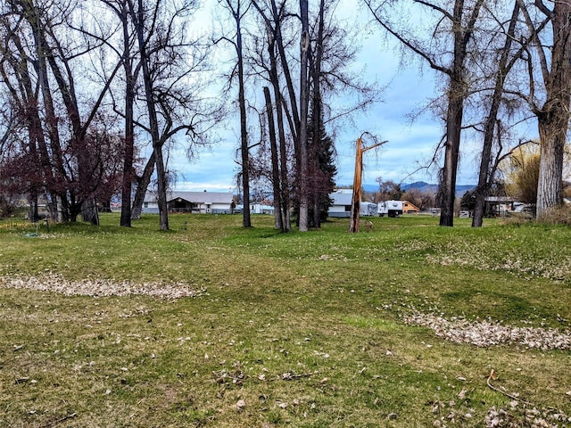 1003 4th Ave, Plains, MT 59859 - view of yard