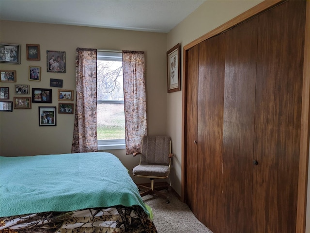 1003 4th Ave, Plains, MT 59859 - bedroom featuring carpet, a closet, and multiple windows