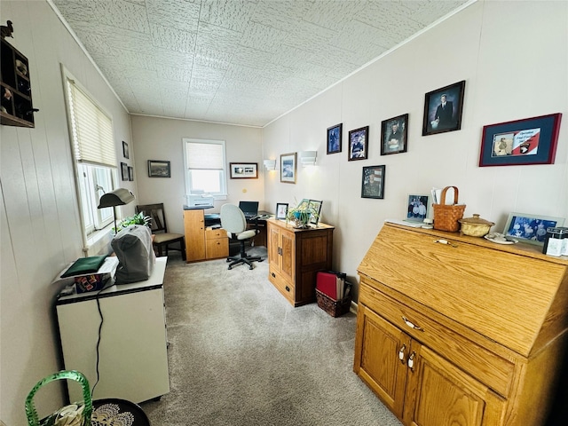 47 3rd Ave S, Stanford, MT 59479 - office space with light carpet, crown molding, and an ornate ceiling