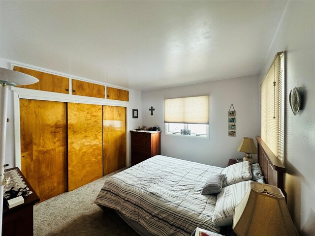 47 3rd Ave S, Stanford, MT 59479 - carpeted bedroom featuring a closet