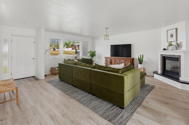 living room with light wood-style floors, baseboards, and a premium fireplace