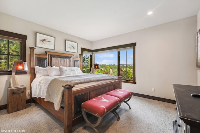 62 Wilderness Lodge Rd, Eureka, MT 59917 - bedroom featuring baseboards and carpet flooring
