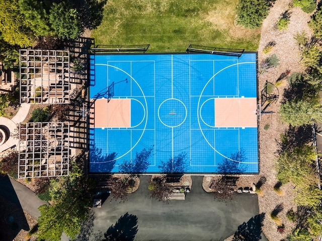 62 Wilderness Lodge Rd, Eureka, MT 59917 - view of sport court