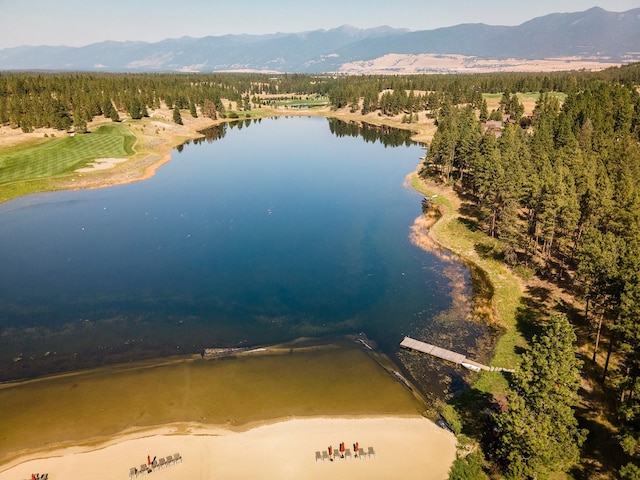 62 Wilderness Lodge Rd, Eureka, MT 59917 - drone / aerial view featuring a water and mountain view and a wooded view
