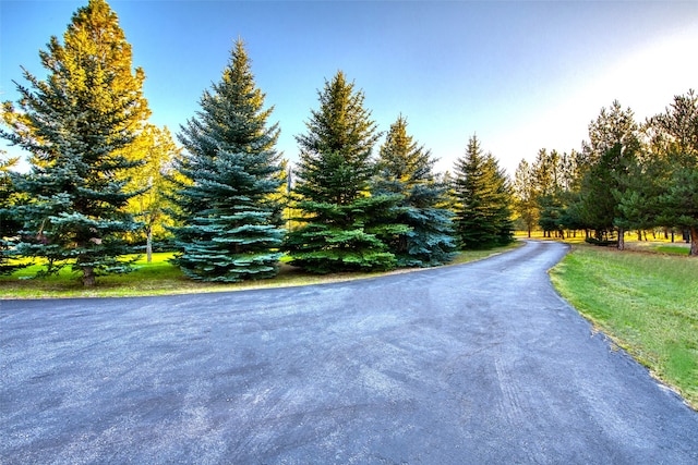 NHN Bears Rd, Stevensville, MT 59870 - view of street