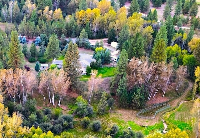 NHN Bears Rd, Stevensville, MT 59870 - bird's eye view featuring a view of trees