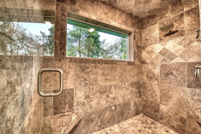 NHN Bears Rd, Stevensville, MT 59870 - interior details with a tile shower