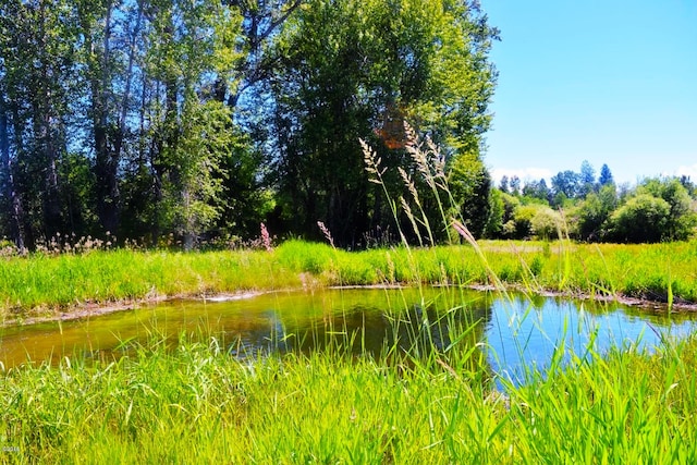 NHN Bears Rd, Stevensville, MT 59870 - view of water feature