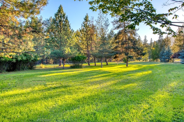 NHN Bears Rd, Stevensville, MT 59870 - view of yard