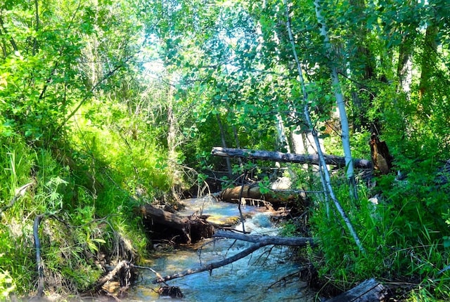 NHN Bears Rd, Stevensville, MT 59870 - view of nature featuring a forest view