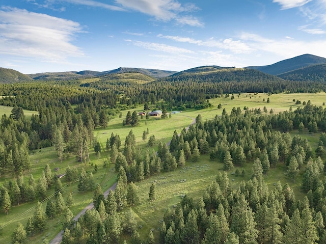 587 Cozy Ln, Helmville, MT 59843 - property view of mountains featuring a rural view and a forest view