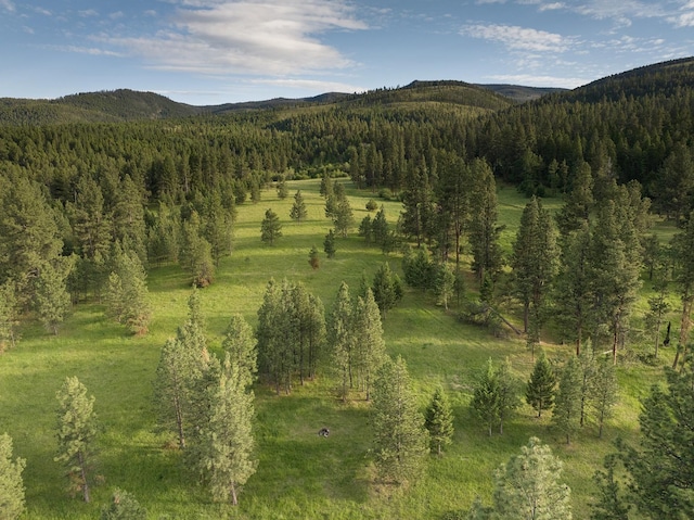587 Cozy Ln, Helmville, MT 59843 - property view of mountains featuring a forest view