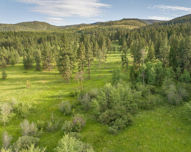 587 Cozy Ln, Helmville, MT 59843 - property view of mountains featuring a view of trees
