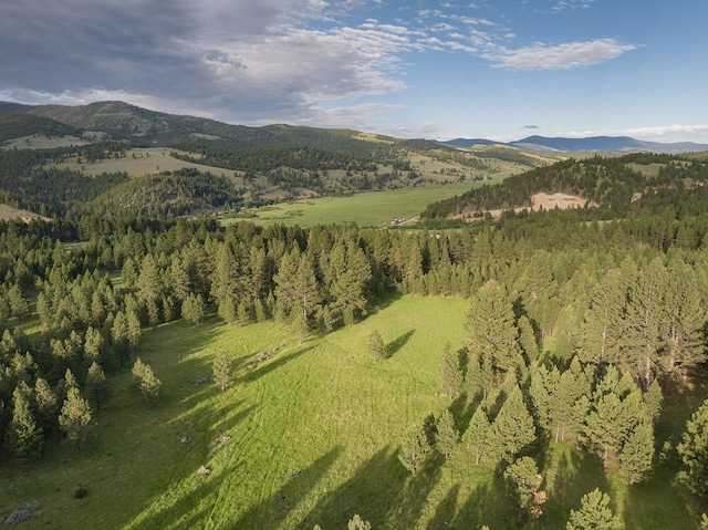 587 Cozy Ln, Helmville, MT 59843 - view of mountain feature featuring a view of trees