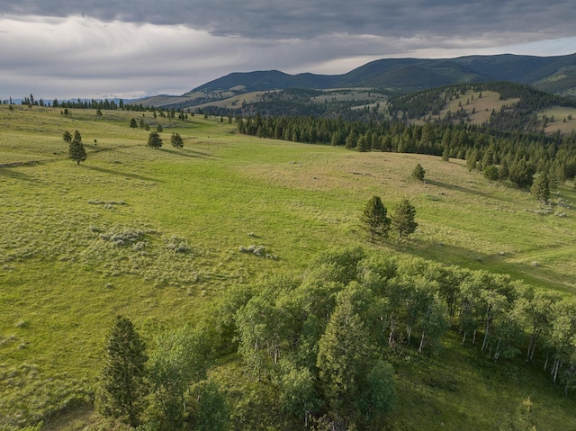 587 Cozy Ln, Helmville, MT 59843 - mountain view with a rural view
