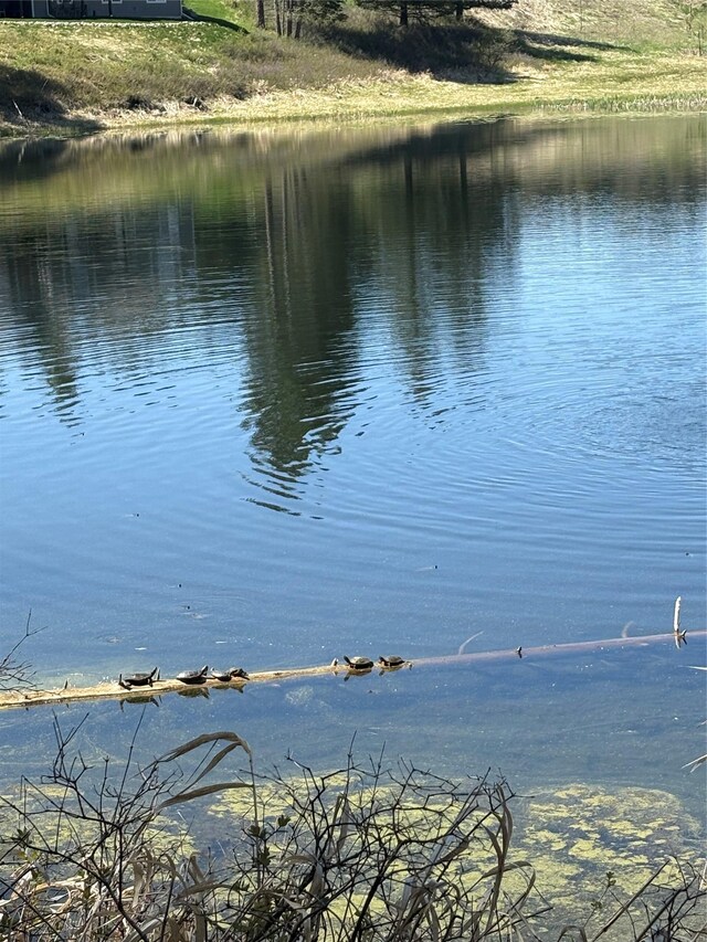 34 Grizzly Ct, Bigfork, MT 59911 - water view