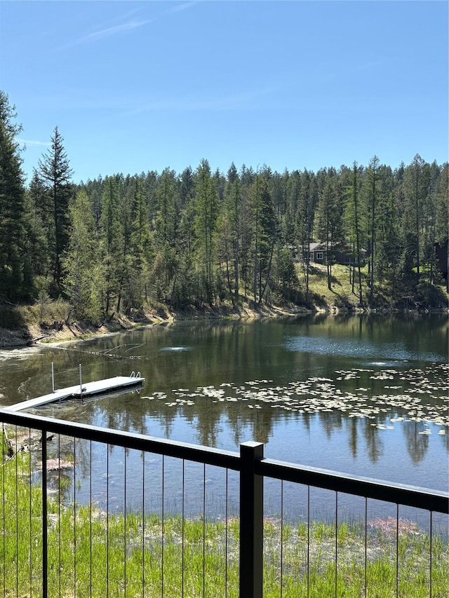 34 Grizzly Ct, Bigfork, MT 59911 - water view with a forest and a dock
