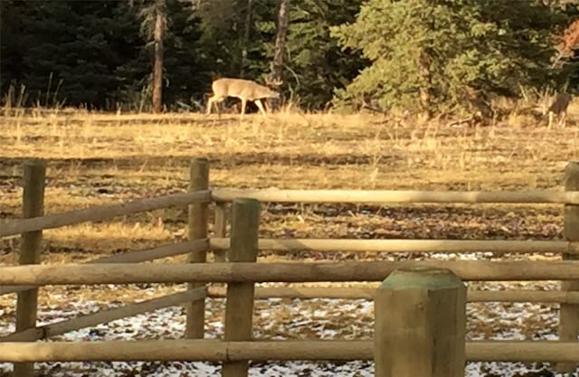 view of yard with fence and a wooded view