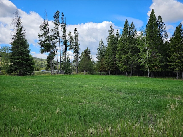 view of yard with a view of trees