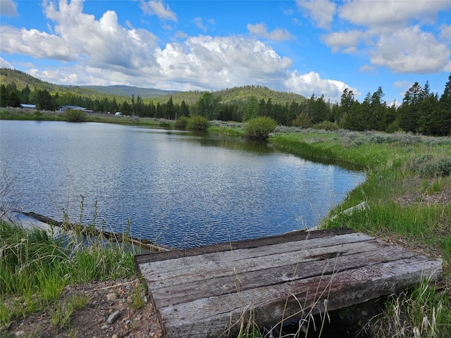 view of dock with a wooded view and a water view
