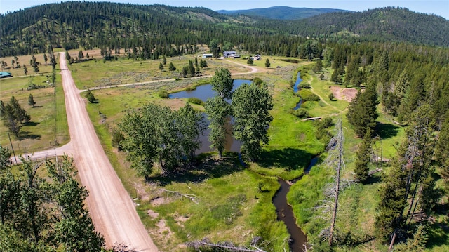 bird's eye view with a view of trees and a water and mountain view
