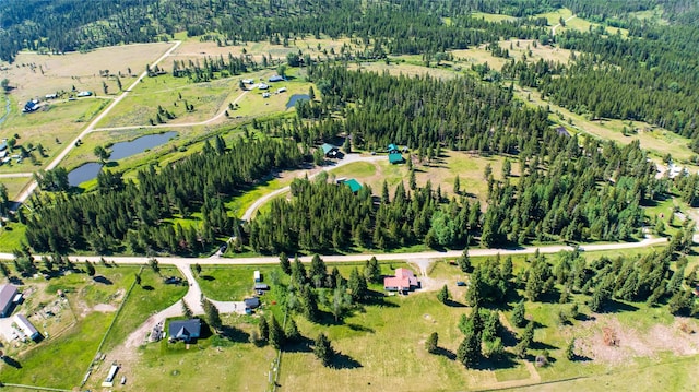 bird's eye view with a view of trees and a water view