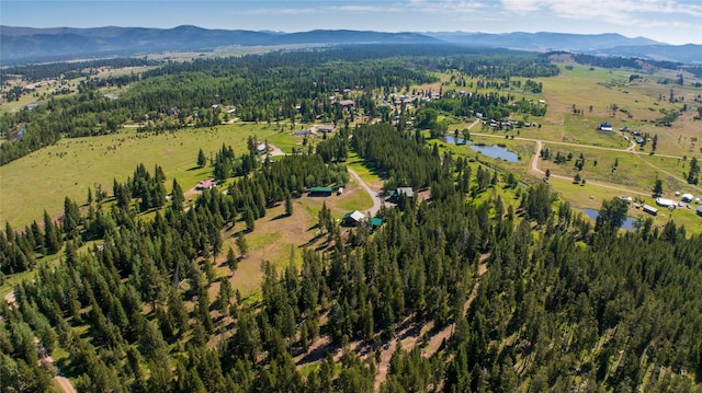 bird's eye view featuring a water and mountain view