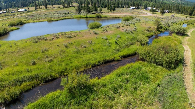 bird's eye view with a water view