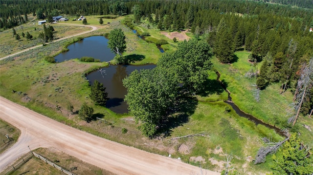 birds eye view of property with a view of trees and a water view