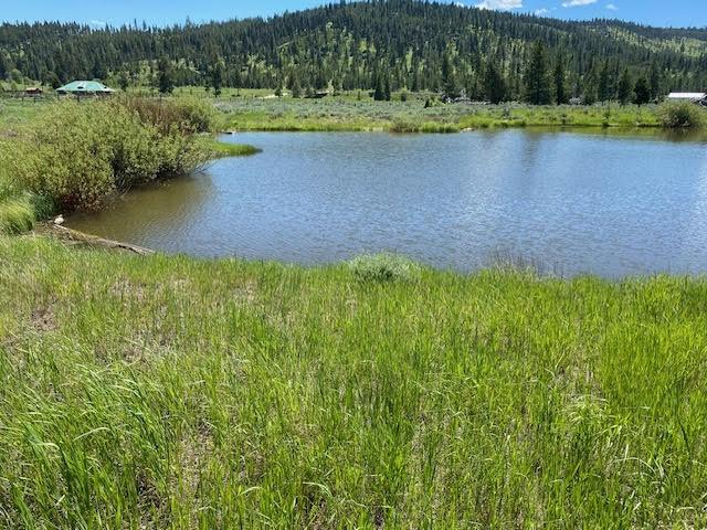 property view of water featuring a wooded view