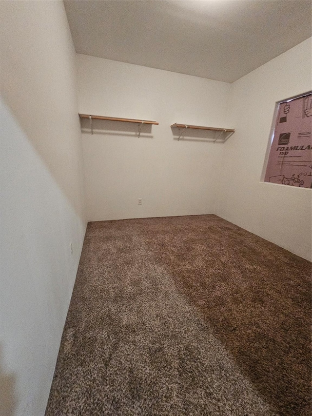walk in closet featuring carpet floors