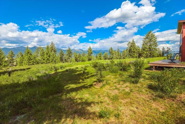 563 Riding High Dr, Eureka, MT 59917 - view of yard with a mountain view