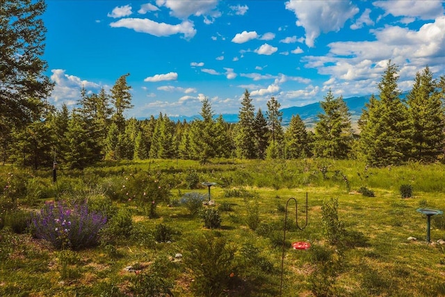 563 Riding High Dr, Eureka, MT 59917 - view of mountain background