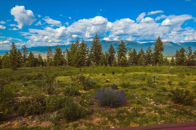 563 Riding High Dr, Eureka, MT 59917 - mountain view