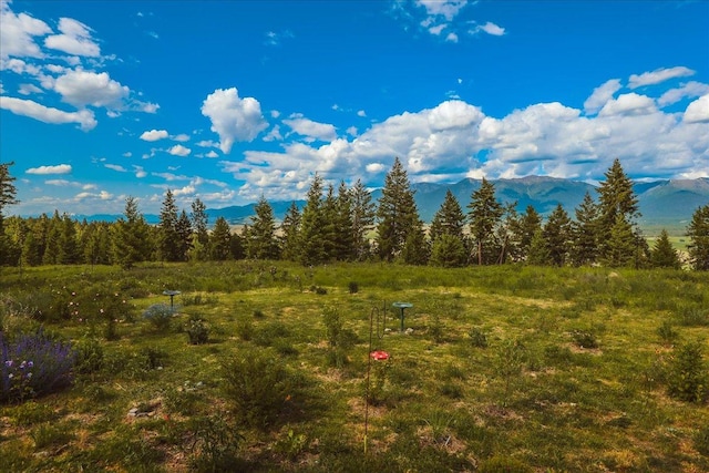 563 Riding High Dr, Eureka, MT 59917 - view of mountain background