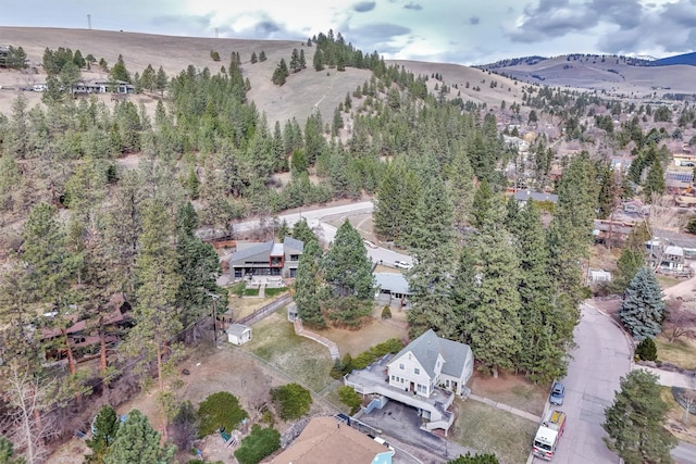 birds eye view of property with a mountain view
