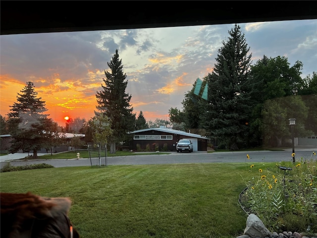 view of yard featuring a carport