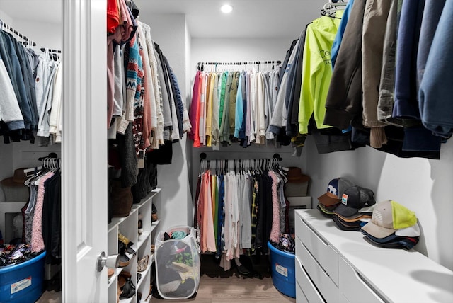 walk in closet featuring wood finished floors