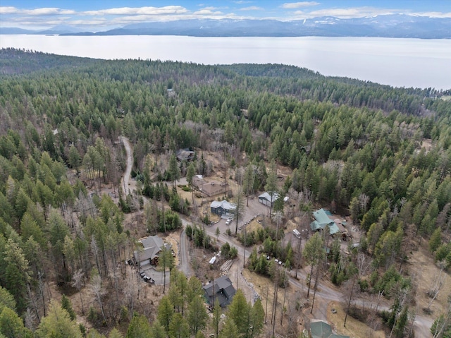 682 Latigo Ln, Bigfork, MT 59911 - view of property location with a heavily wooded area and a water and mountain view