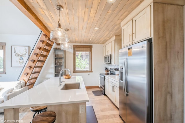 15 Haflinger Cottage Way, Eureka, MT 59917 - kitchen featuring appliances with stainless steel finishes, a sink, wooden ceiling, light wood-style floors, and light countertops