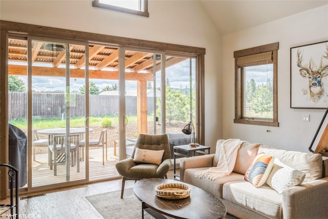 15 Haflinger Cottage Way, Eureka, MT 59917 - living area with lofted ceiling and wood finished floors