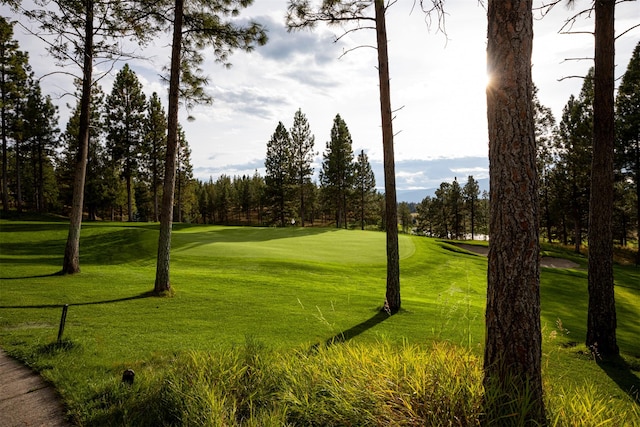 15 Haflinger Cottage Way, Eureka, MT 59917 - view of property's community featuring a lawn and golf course view