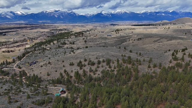 3340 Rome Ln, Stevensville, MT 59870 - mountain view